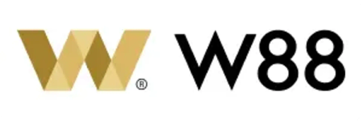 casinow88.net Logo